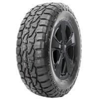 6924064119833 - Spider R T