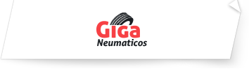 giga-neumaticos.es